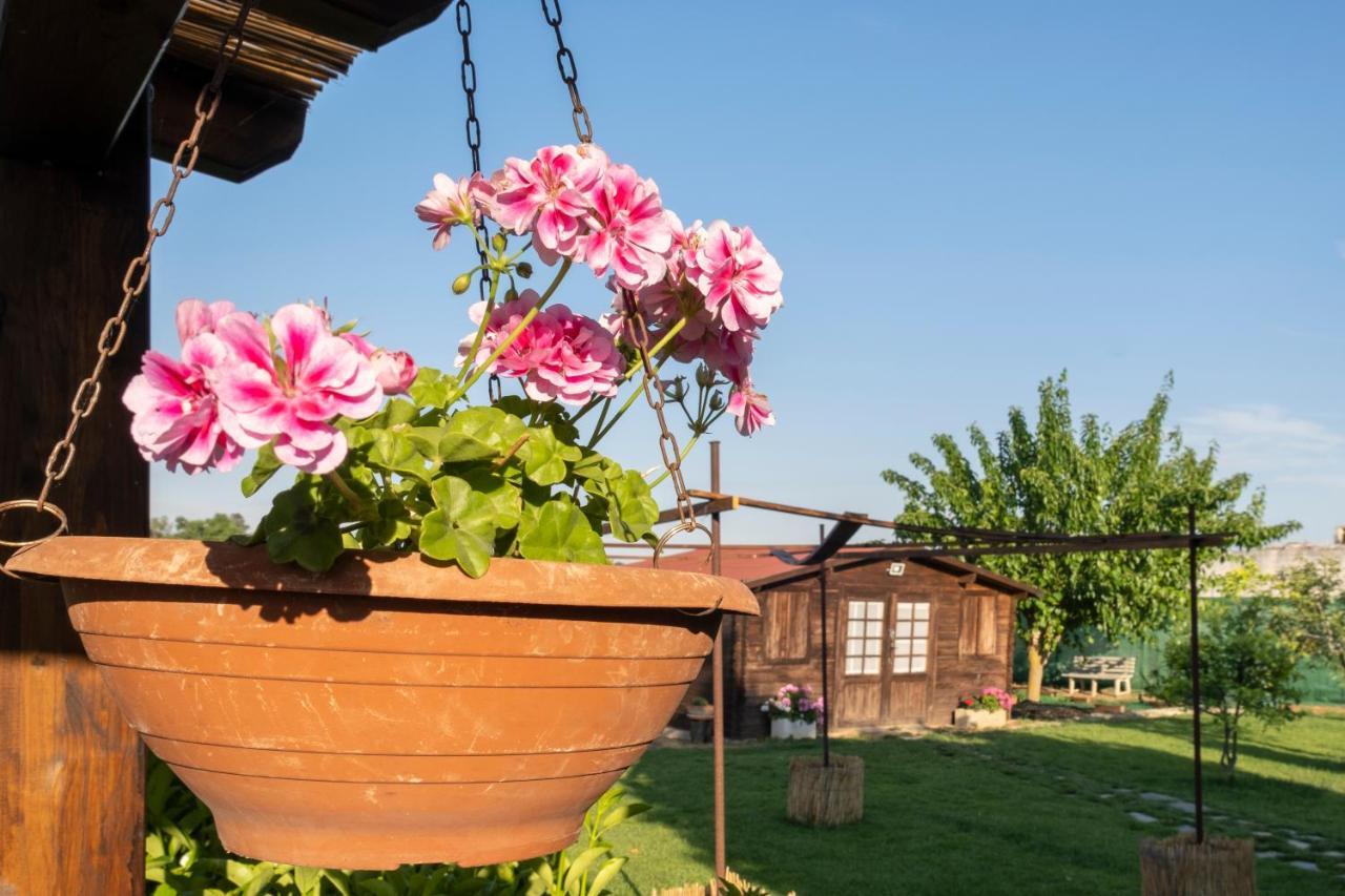 A Lu Fanizza Bed & Breakfast Cutrofiano Exterior foto
