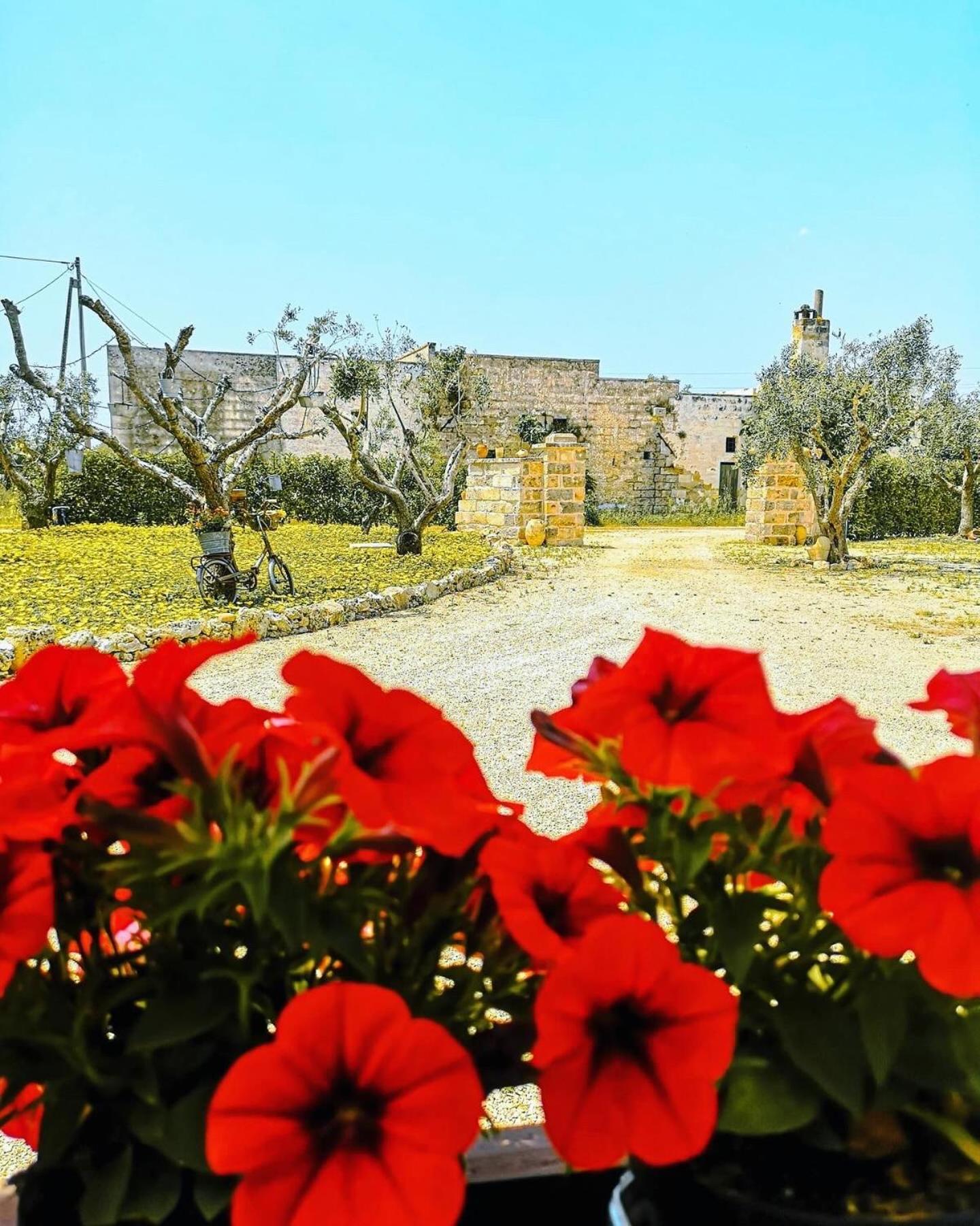 A Lu Fanizza Bed & Breakfast Cutrofiano Exterior foto